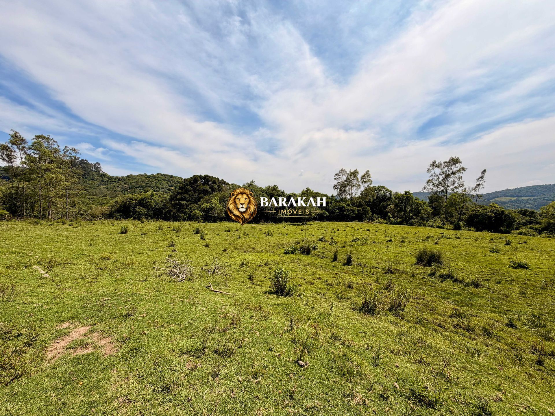 Chácara, 2 hectares - Foto 4