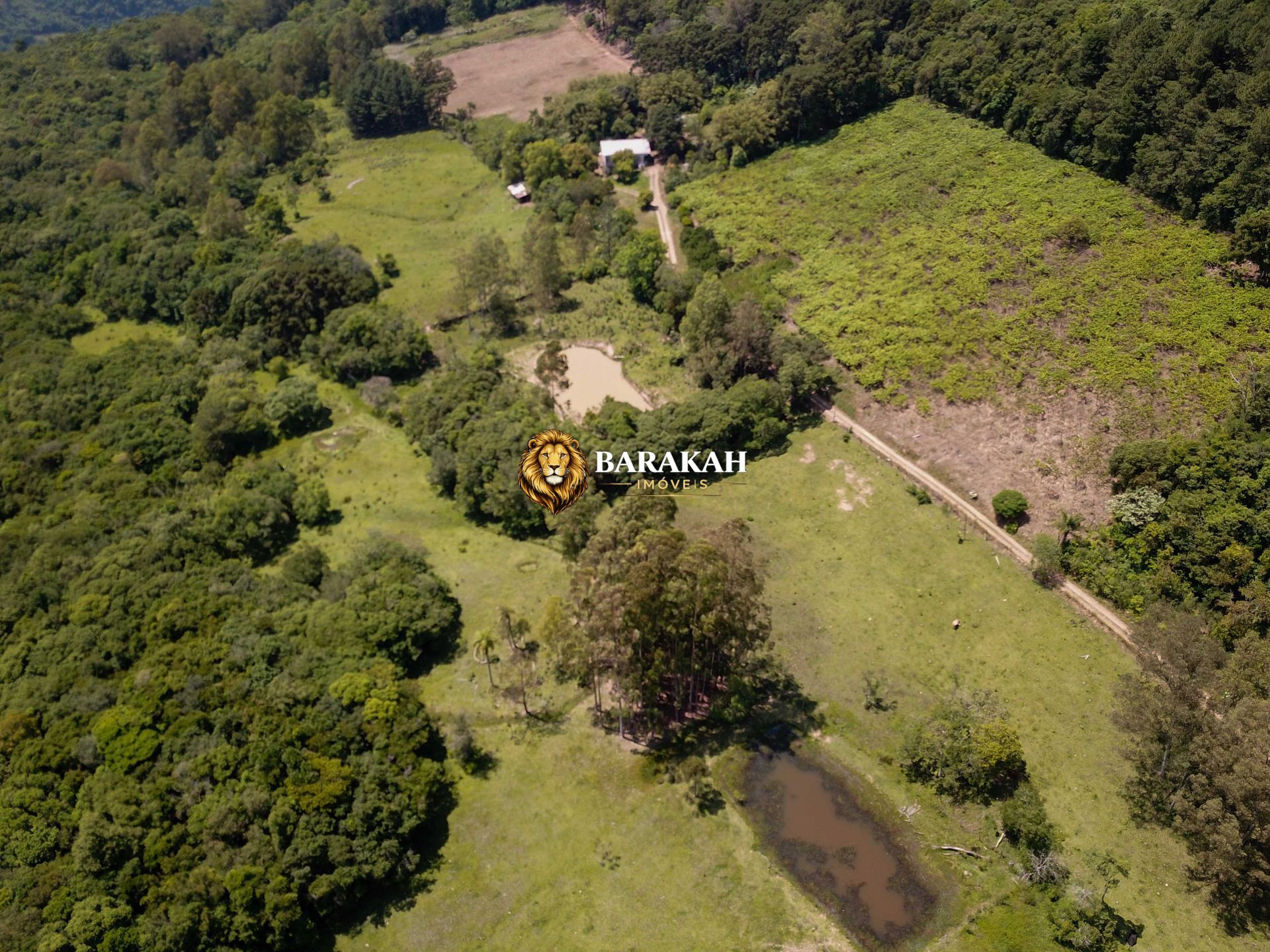 Chácara, 2 hectares - Foto 3