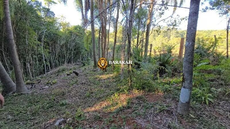 Chácara, 4 hectares - Foto 36