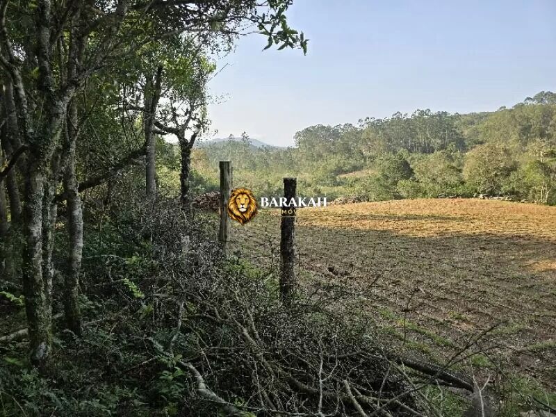 Chácara, 4 hectares - Foto 18