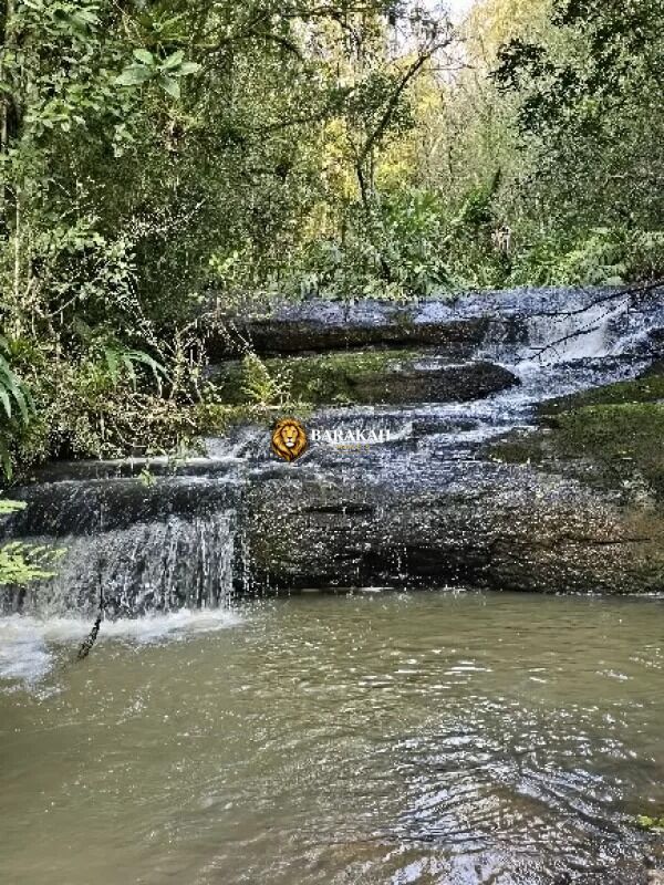 Chácara, 4 hectares - Foto 32