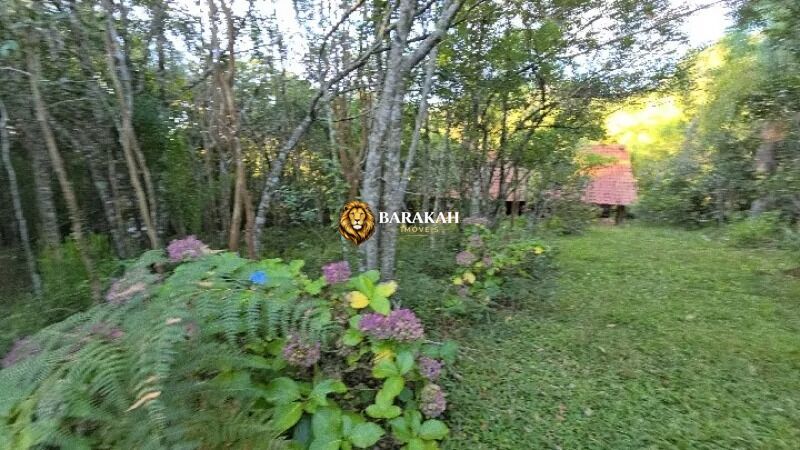 Chácara, 4 hectares - Foto 33