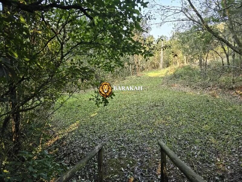 Chácara, 4 hectares - Foto 25