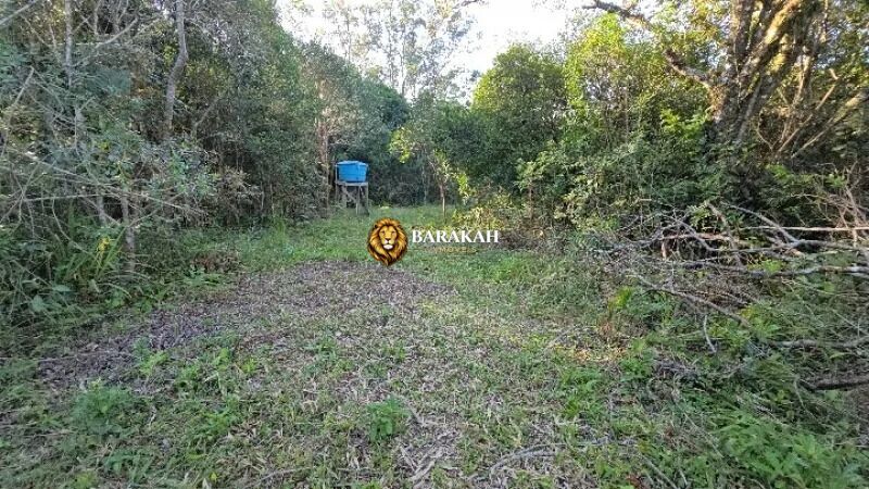 Chácara, 4 hectares - Foto 9