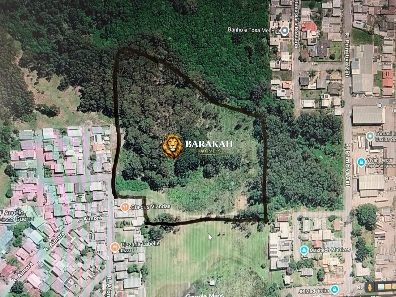 Terreno, 3 hectares - Foto 4