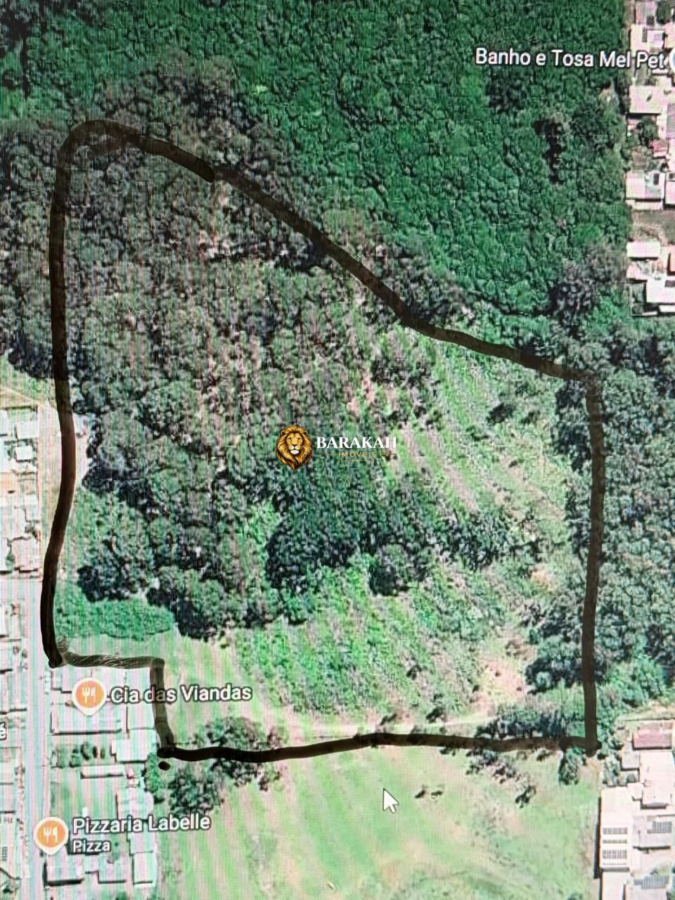Terreno, 3 hectares - Foto 5