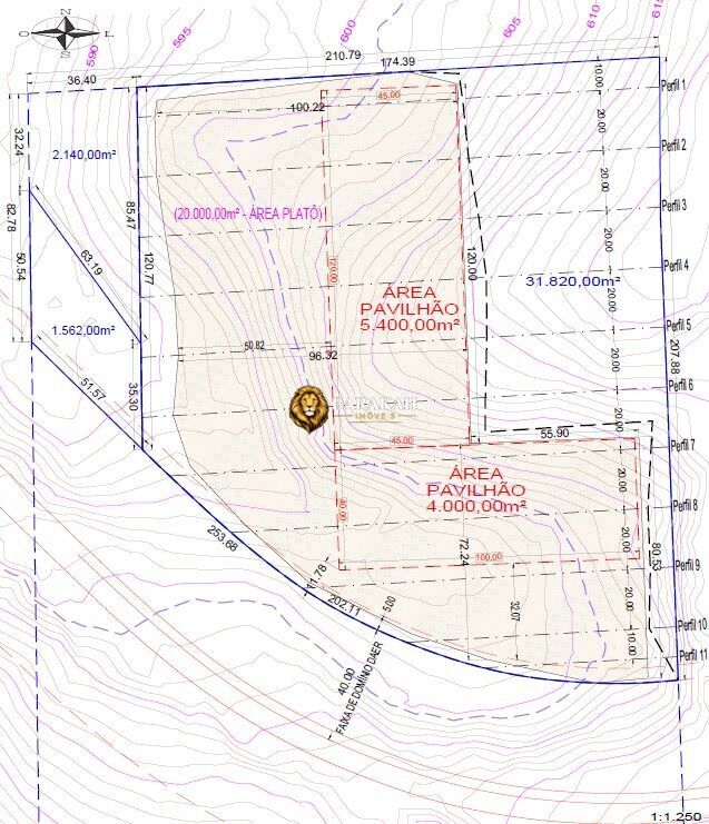 Terreno, 3182 hectares - Foto 4