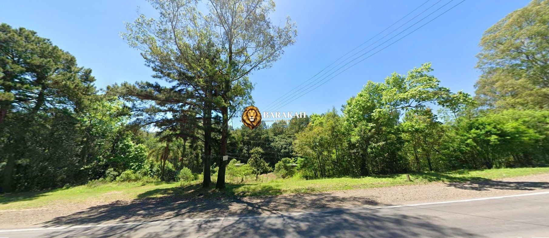 Terreno, 3182 hectares - Foto 1