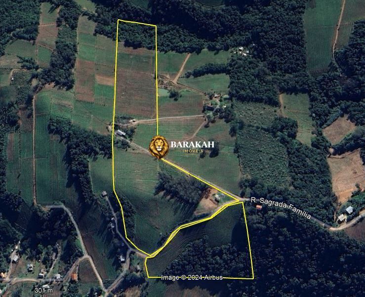 Sítio, 12 hectares - Foto 1