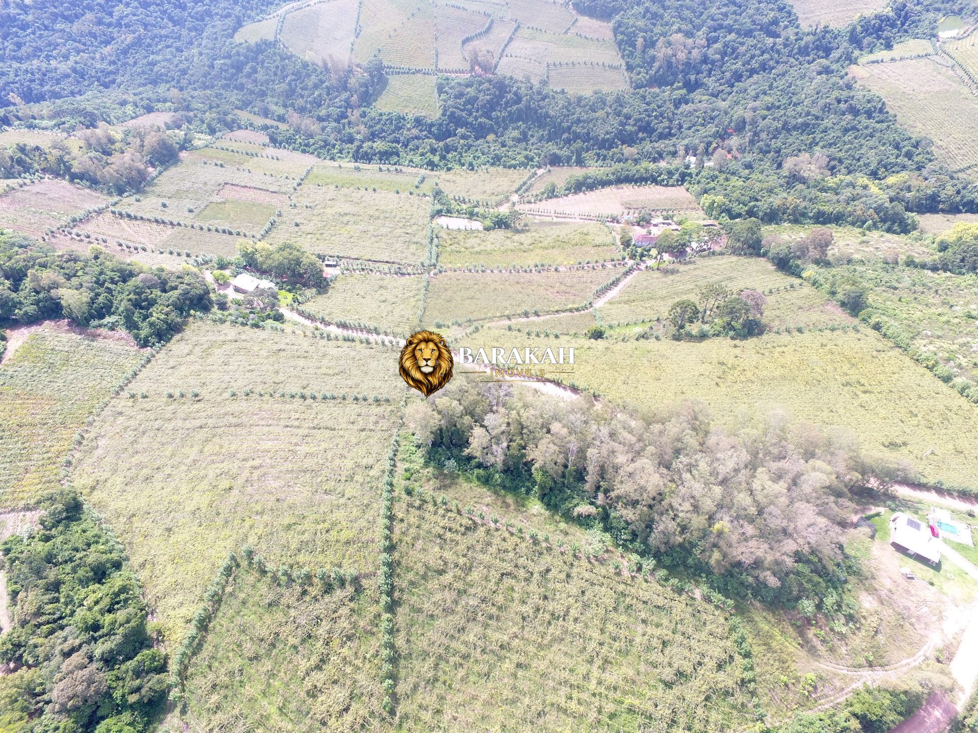Sítio, 12 hectares - Foto 4