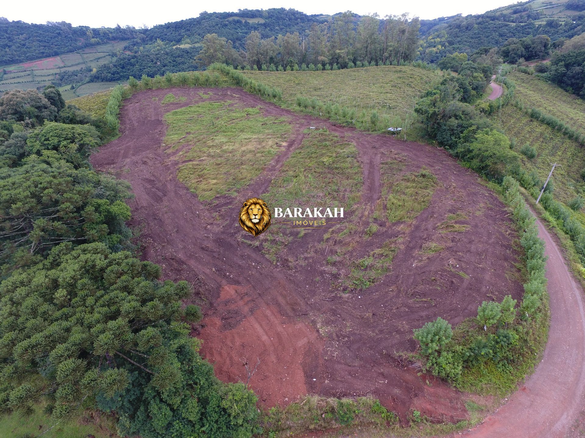 Sítio, 12 hectares - Foto 11