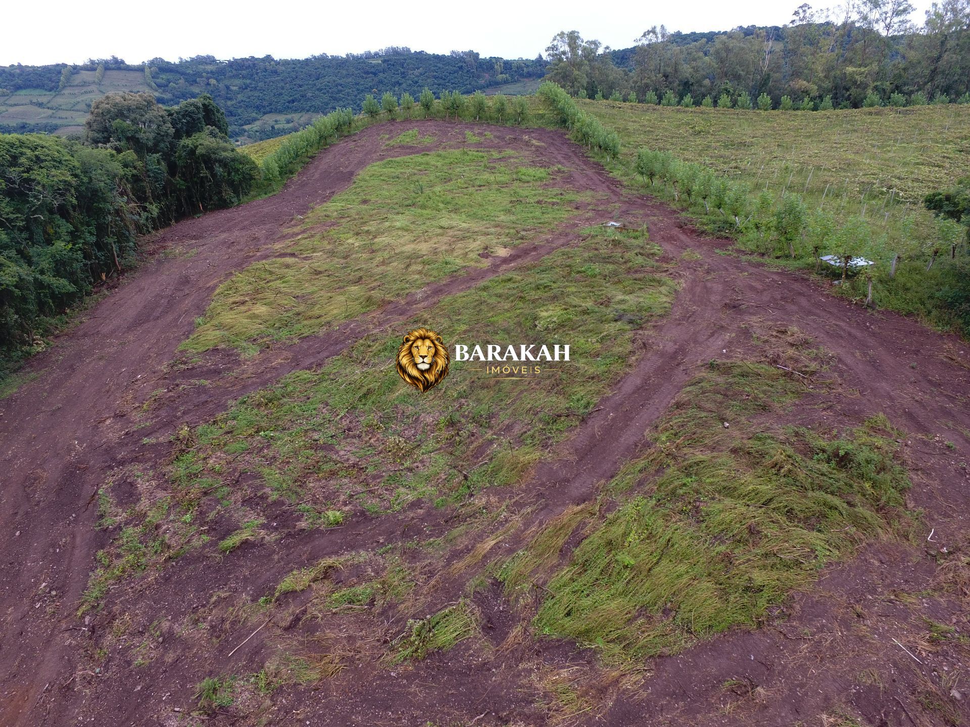 Sítio, 12 hectares - Foto 12