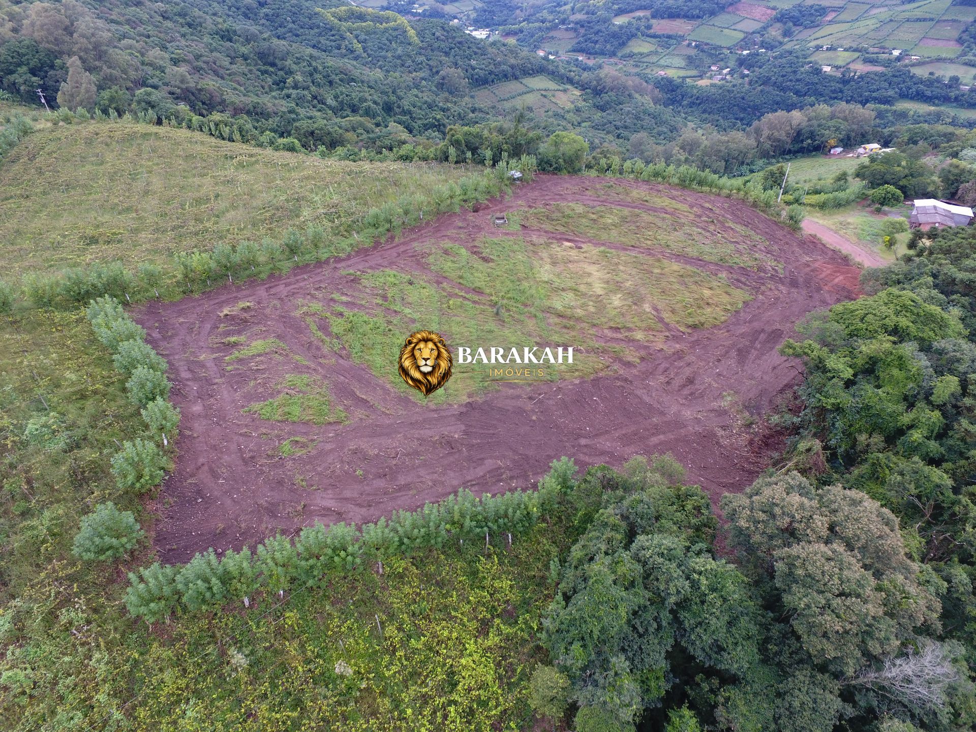 Sítio, 12 hectares - Foto 13