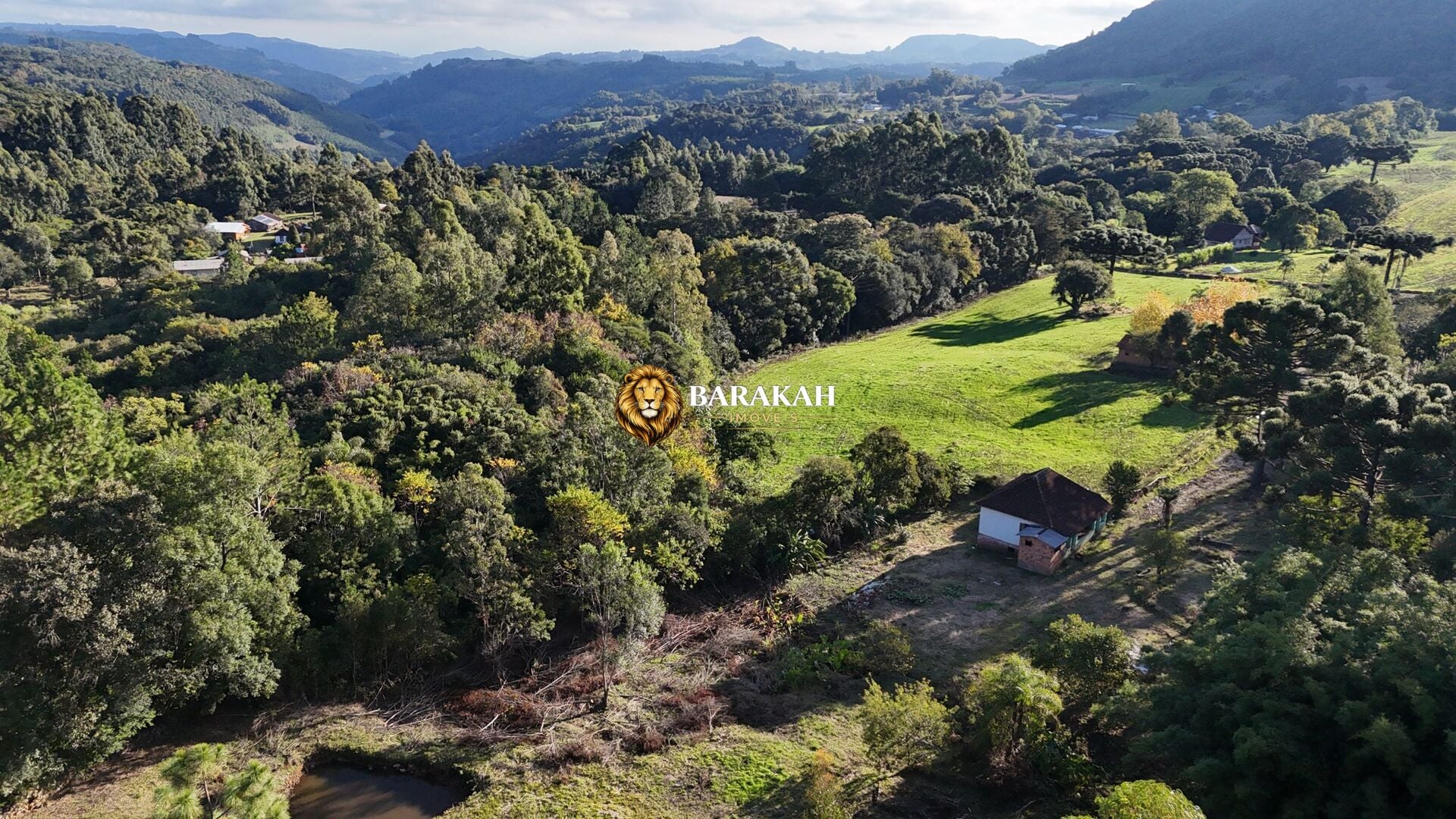 Sítio, 11 hectares - Foto 1