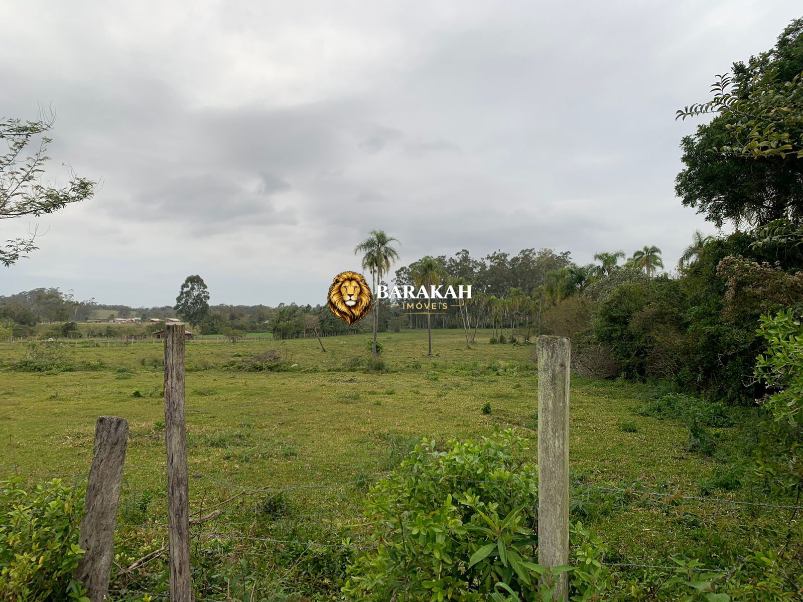 Terreno, 17 hectares - Foto 4