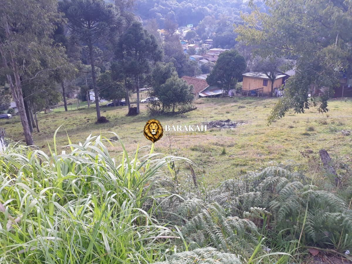 Terreno, 2048 m² - Foto 11