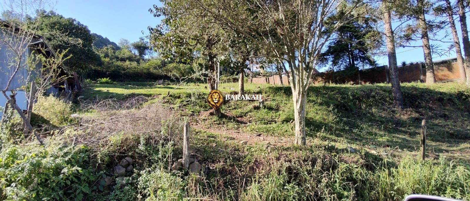 Terreno, 2048 m² - Foto 9