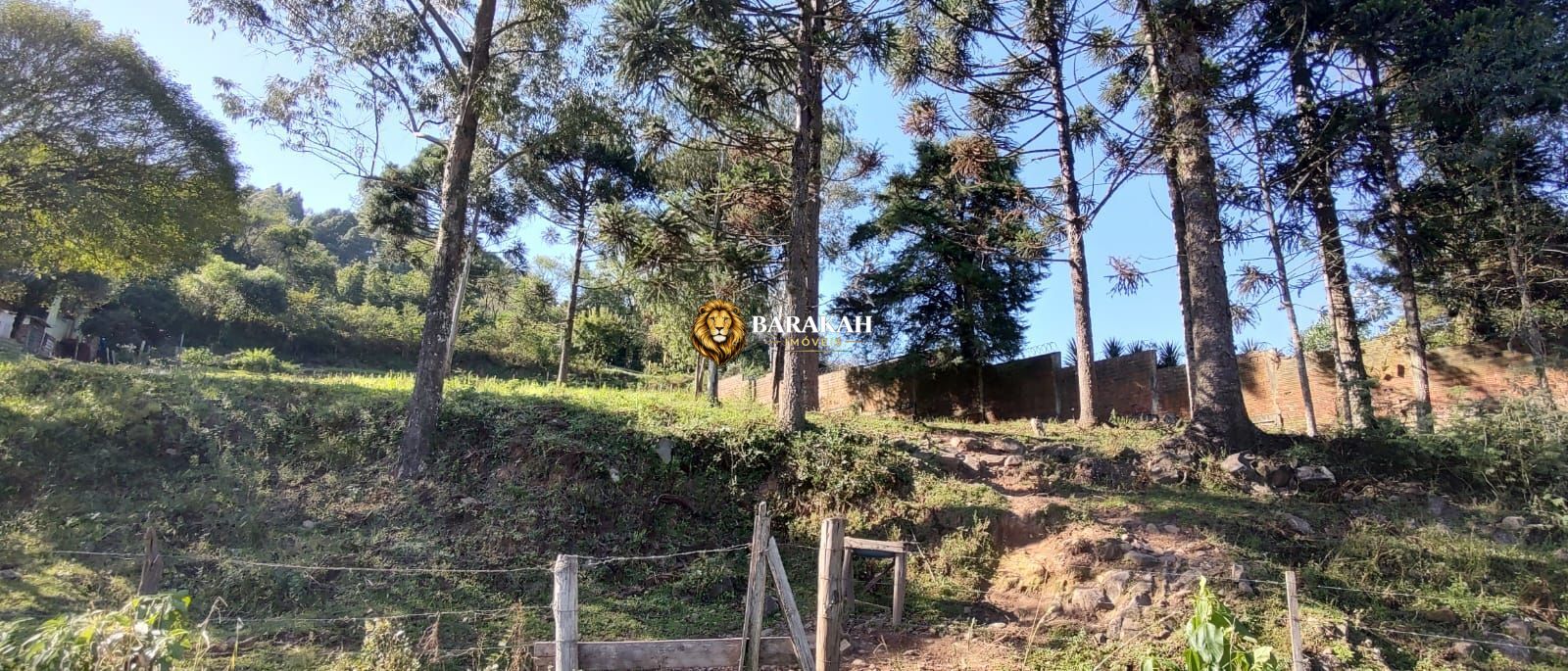 Terreno, 2048 m² - Foto 12