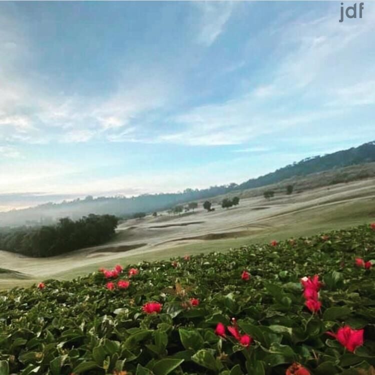 Terreno em Vila Darcy Penteado (Mailasqui), São Roque - CONDOMÍNIO VILLA DA MATA - SÃO ROQUE, SP. ALTO PADRÃO - Foto 38