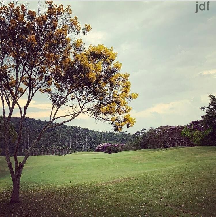 Terreno em Vila Darcy Penteado (Mailasqui), São Roque - CONDOMÍNIO VILLA DA MATA - SÃO ROQUE, SP. ALTO PADRÃO - Foto 49