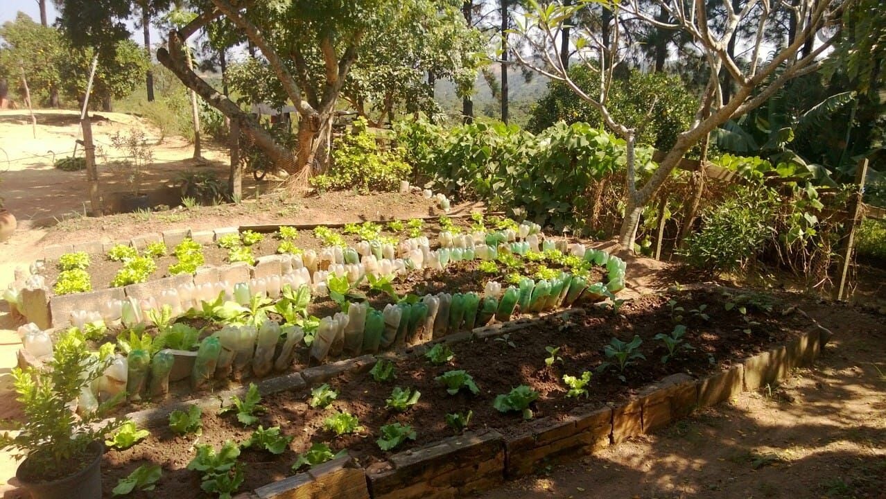 Chácara em Vale da Esperança, Mairinque - Chácara com 5000 m2 de terreno - Foto 16