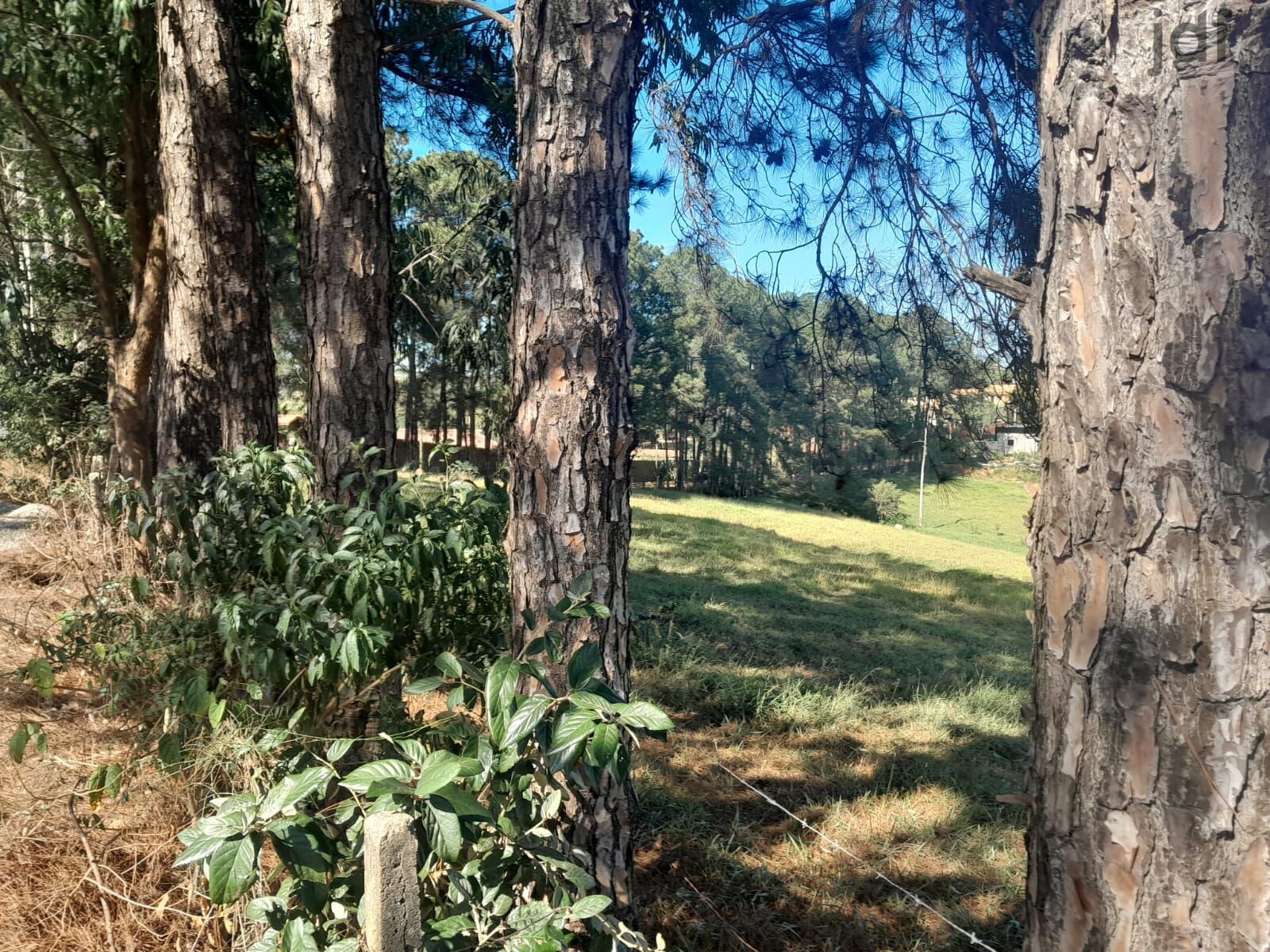 Terreno em Moreiras, Mairinque - Área Rural em Moreiras, Mairinque/SP - Foto 14
