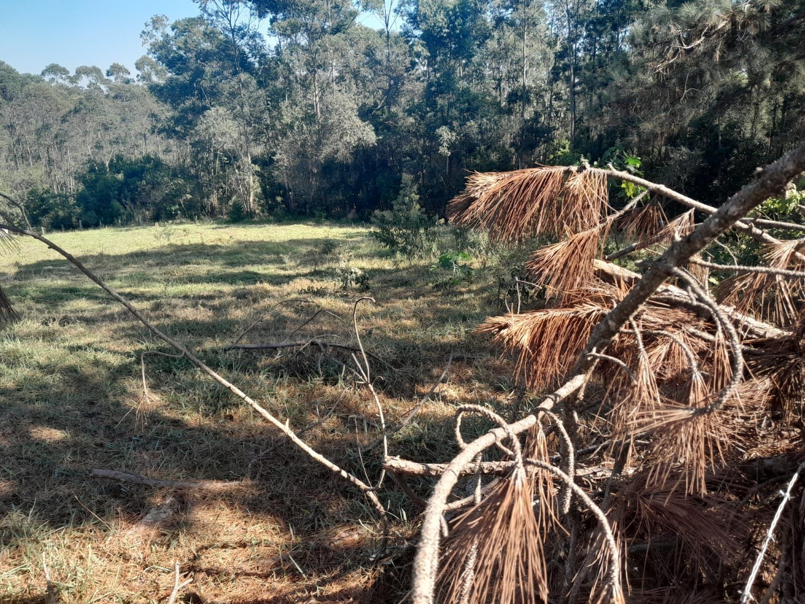 Terreno em Moreiras, Mairinque - Área Rural em Moreiras, Mairinque/SP - Foto 18