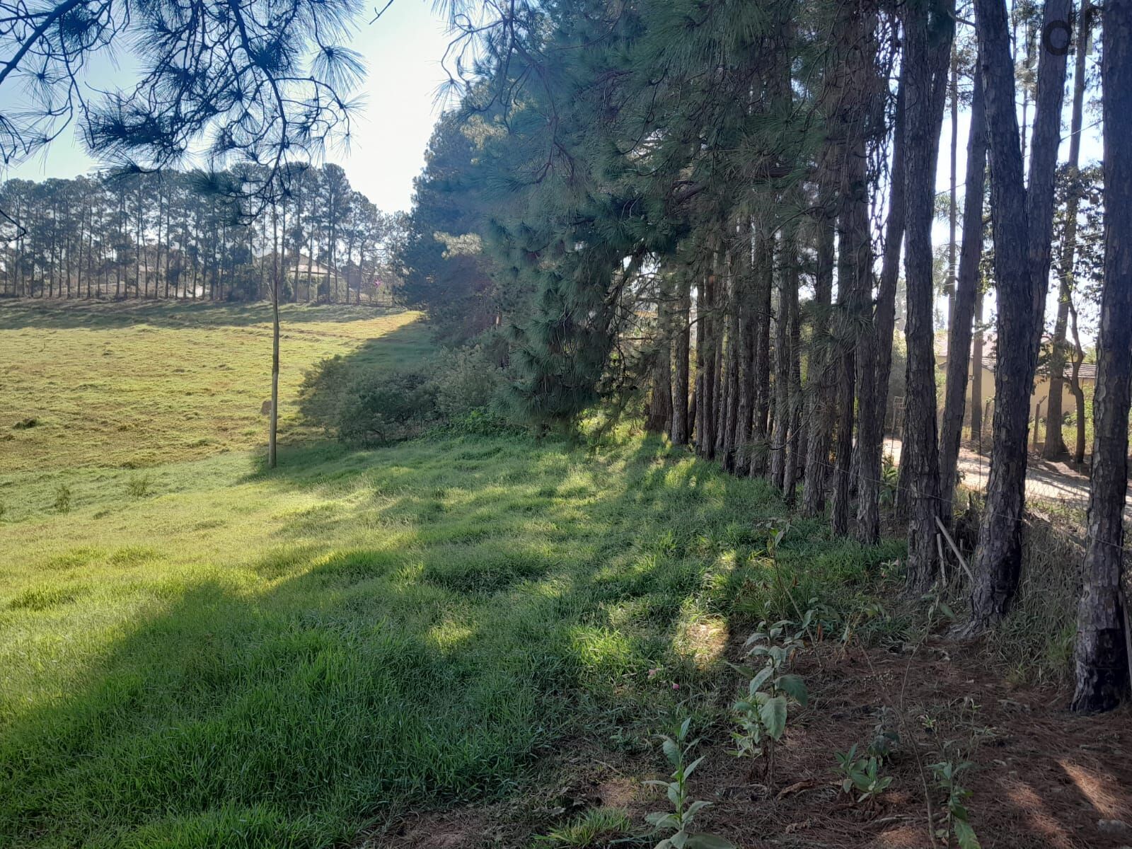 Terreno em Moreiras, Mairinque - Área Rural em Moreiras, Mairinque/SP - Foto 16