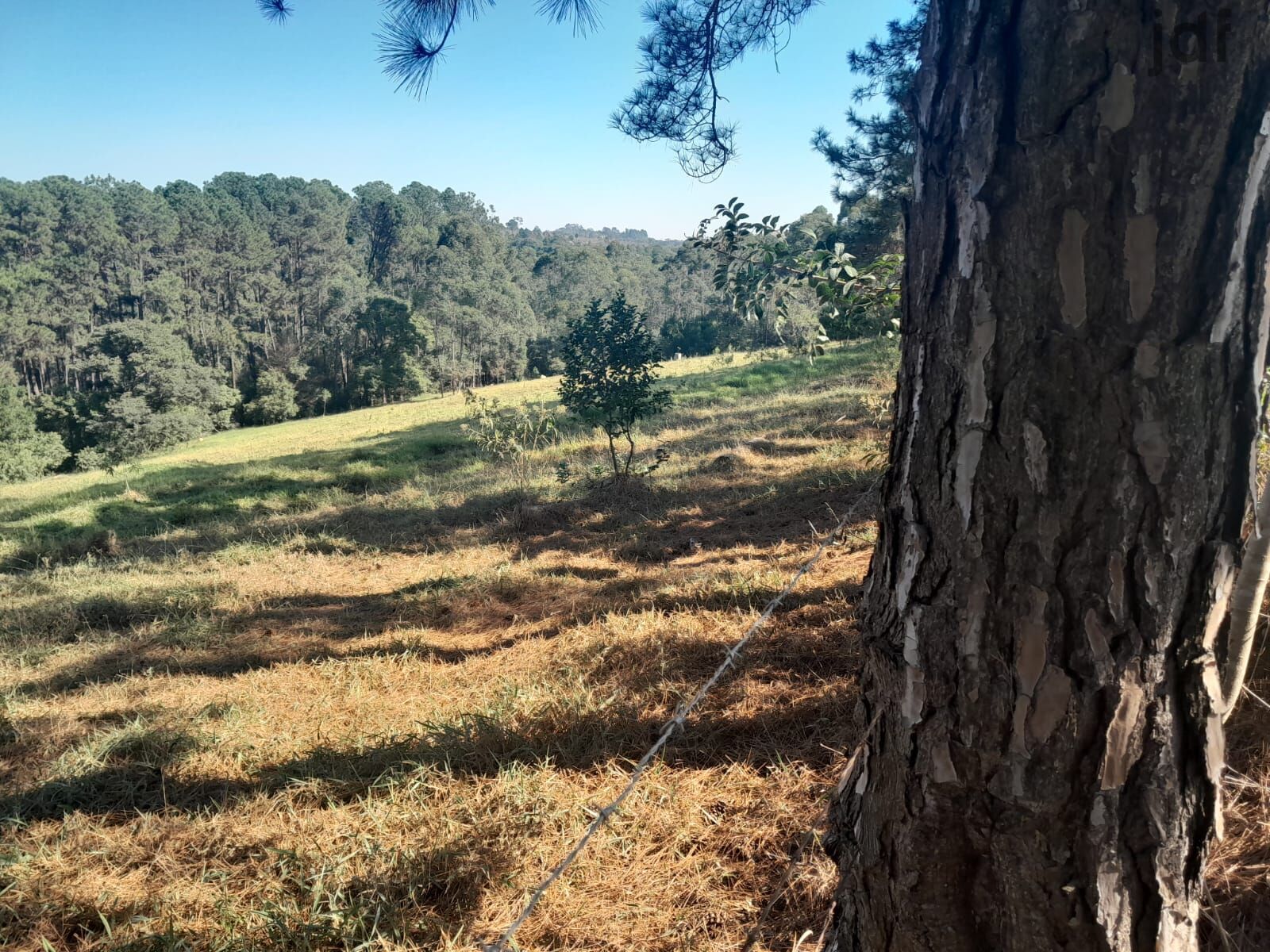 Terreno em Moreiras, Mairinque - Área Rural em Moreiras, Mairinque/SP - Foto 10