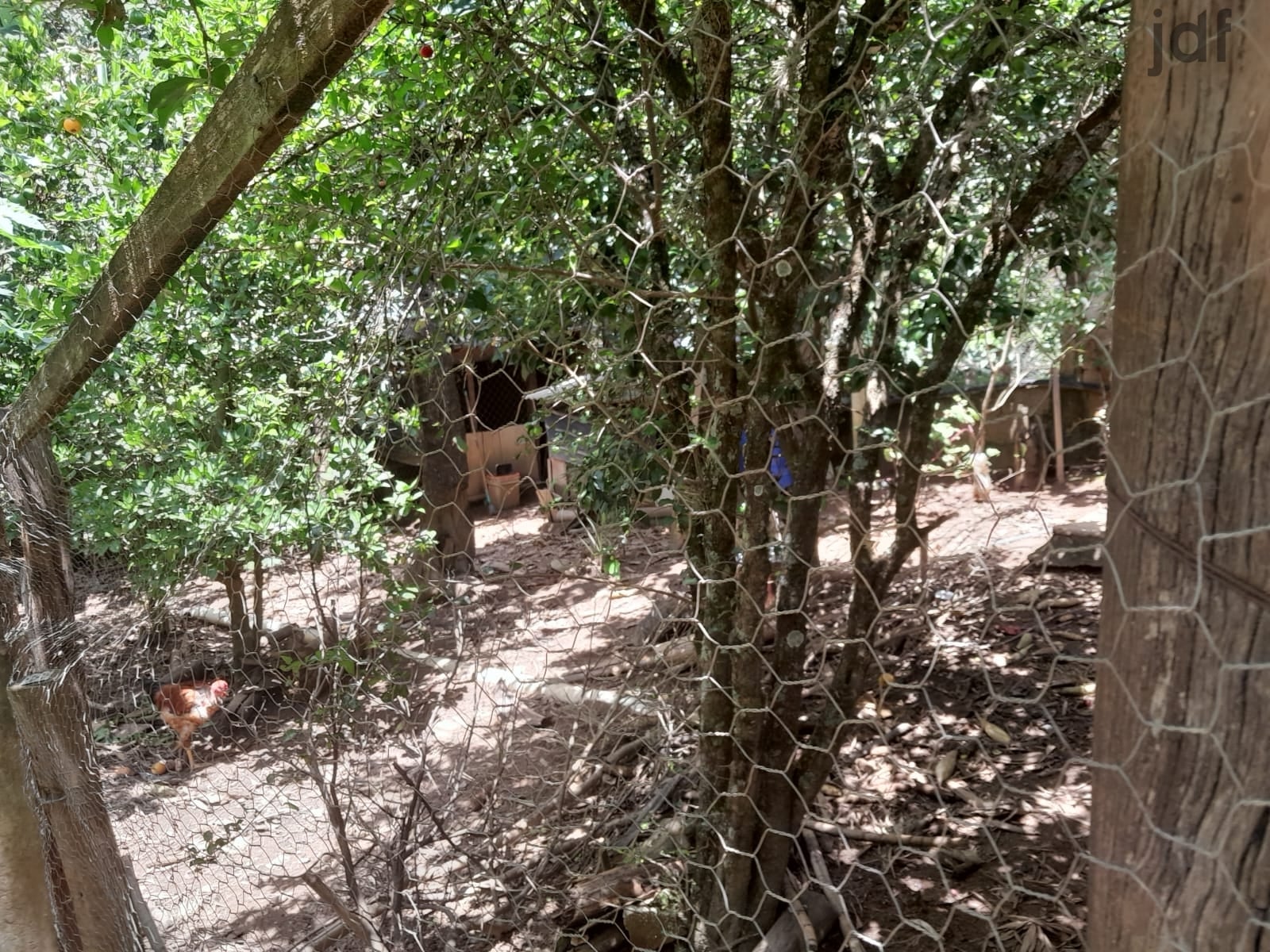 Chácara em Cristal, Mairinque - Chácara em Cristal, Mairinque/SP, 2700 m2 de terreno! - Foto 13
