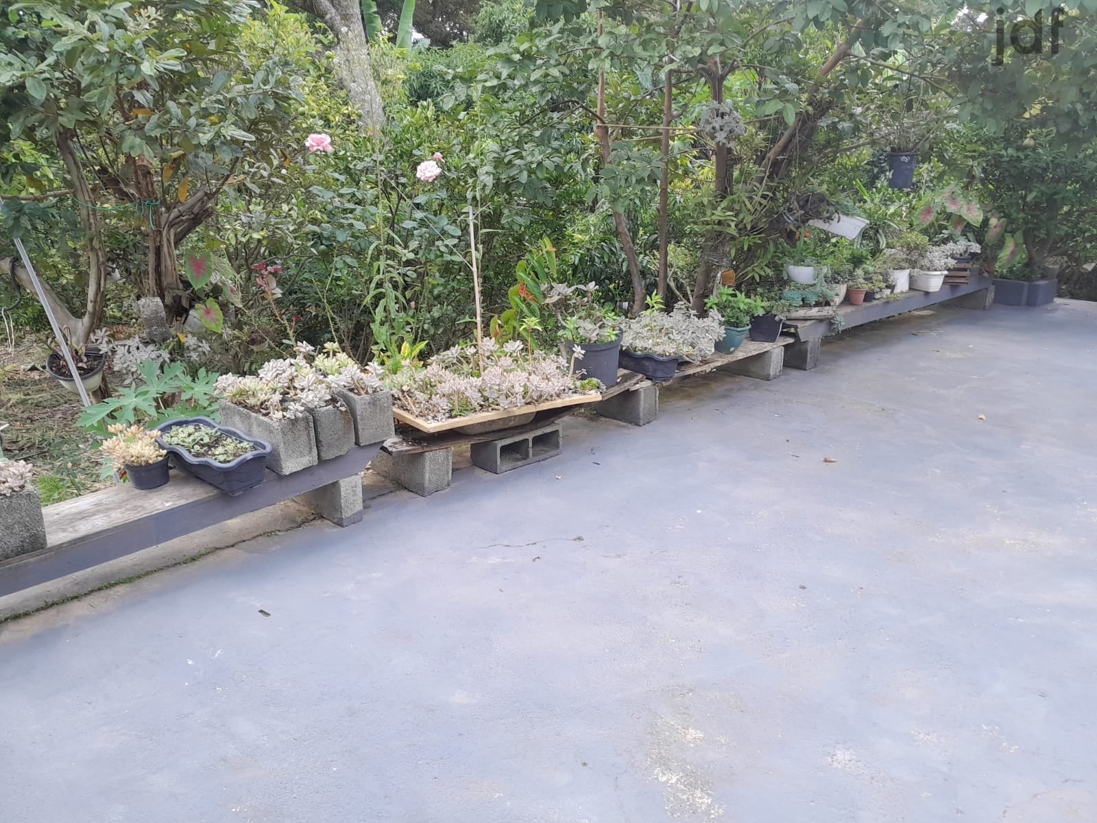Chácara em Cristal, Mairinque - Chácara em Cristal, Mairinque/SP, 2700 m2 de terreno! - Foto 4