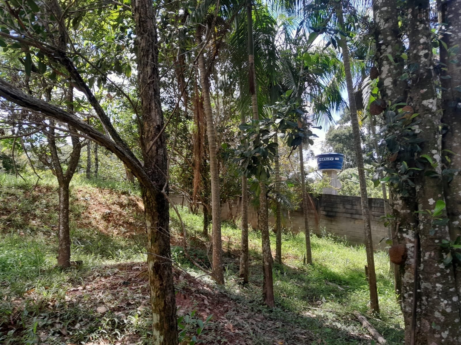 Chácara em Cristal, Mairinque - Chácara em Cristal, Mairinque/SP, 2700 m2 de terreno! - Foto 15