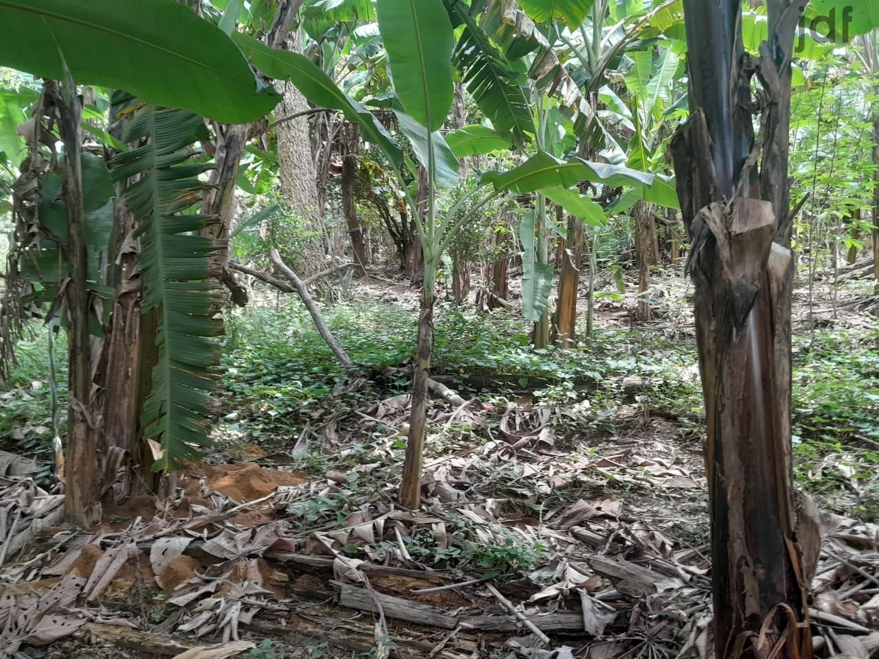 Chácara em Cristal, Mairinque - Chácara em Cristal, Mairinque/SP, 2700 m2 de terreno! - Foto 17