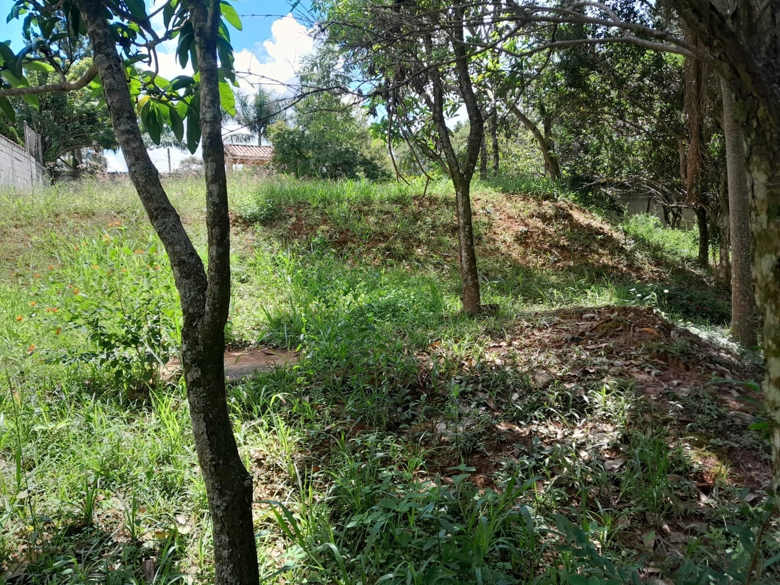Chácara em Cristal, Mairinque - Chácara em Cristal, Mairinque/SP, 2700 m2 de terreno! - Foto 10