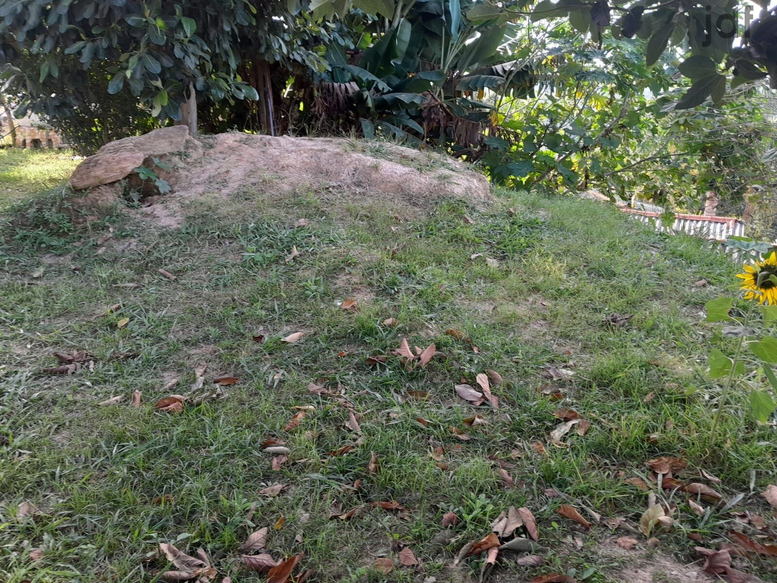 Chácara em Dona Catarina, Mairinque - Chácara em Dona Catarina, Mairinque/SP COM 02 CASAS NO QUINTAL! - Foto 27