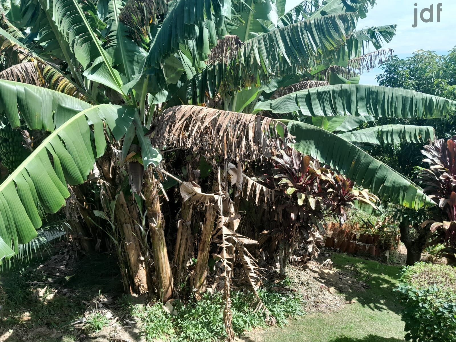 Chácara em Moreiras, Mairinque - Chácara em Moreiras, Mairinque/SP - Foto 11