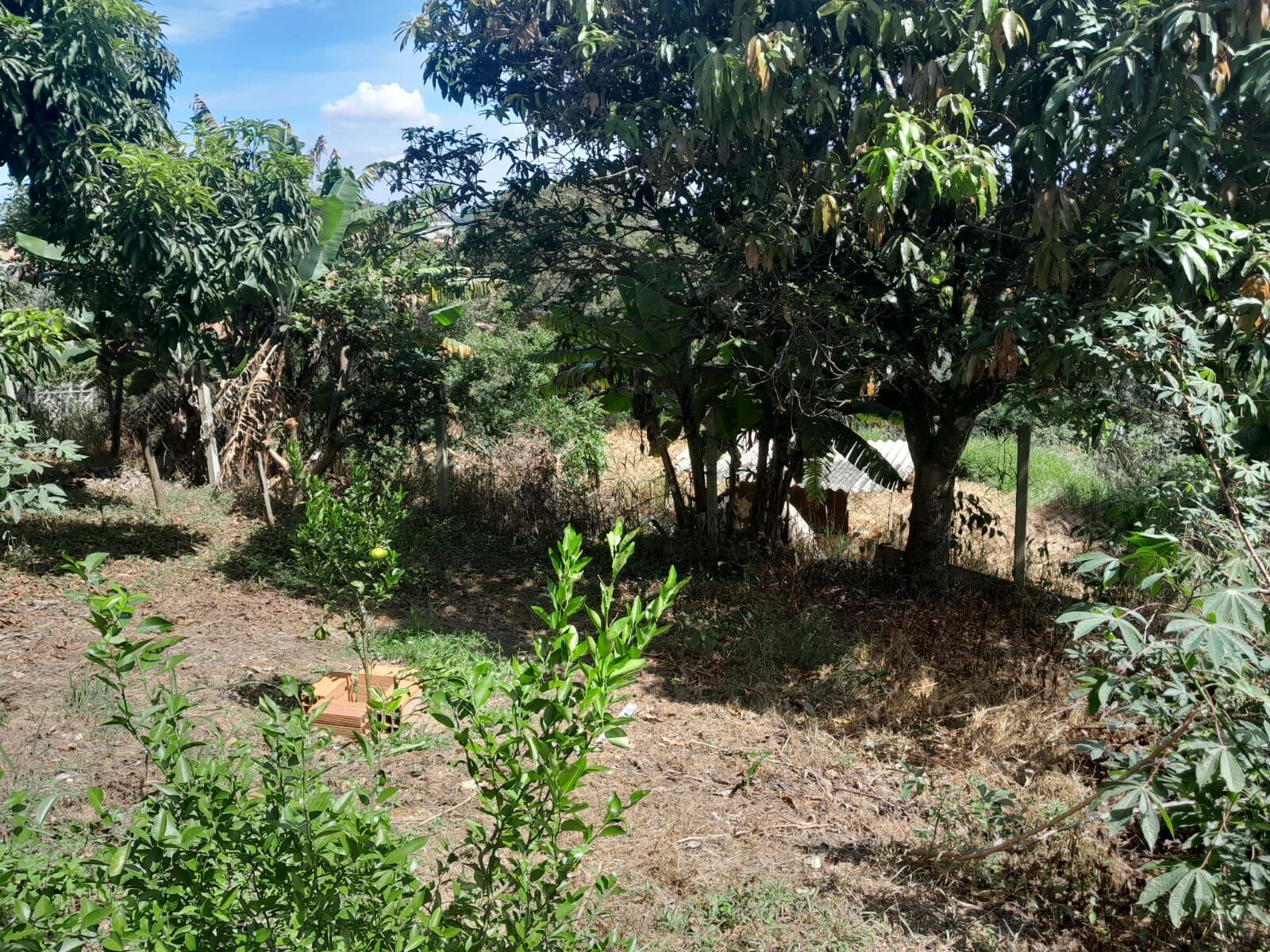 Chácara em Moreiras, Mairinque - Chácara em Moreiras, Mairinque/SP - Foto 9
