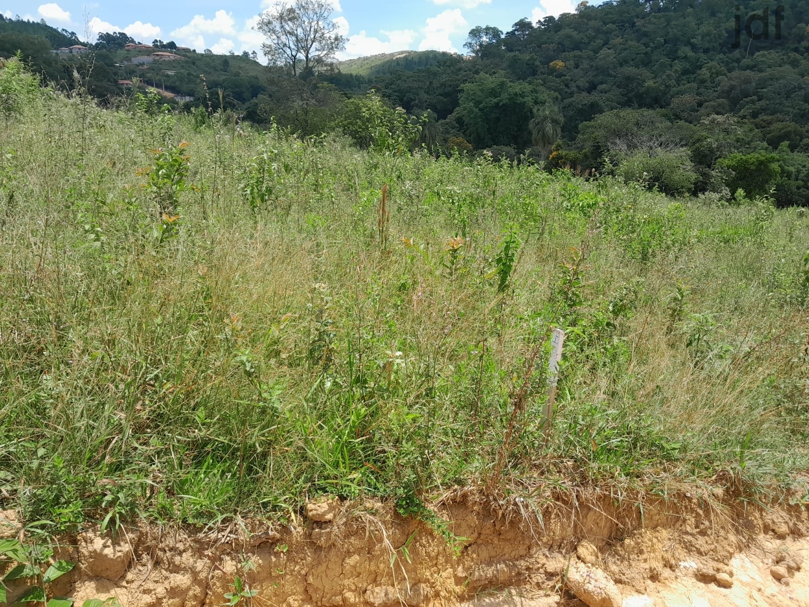 Terreno em Pitangueiras, Mairinque - Terreno em Loteamento em Pitangueiras, Mairinque/SP - Foto 5