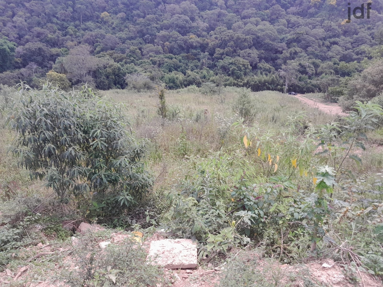 Terreno em Pitangueiras, Mairinque - Terreno em Loteamento em Pitangueiras, Mairinque/SP - Foto 11