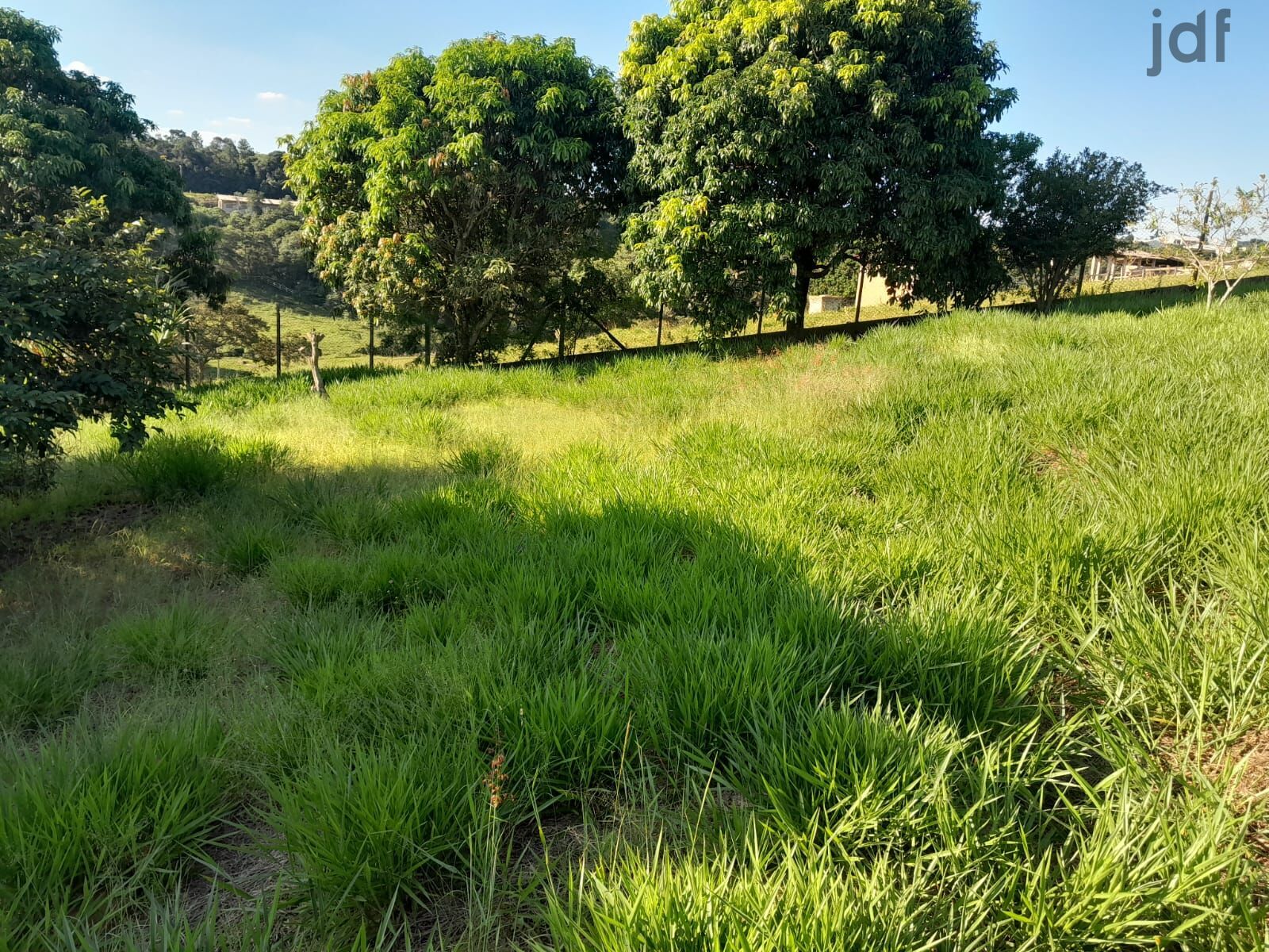 Residential / Agricultural em Dona Catarina, Mairinque - Sítio em Dona Catarina, Mairinque/SP - Foto 15