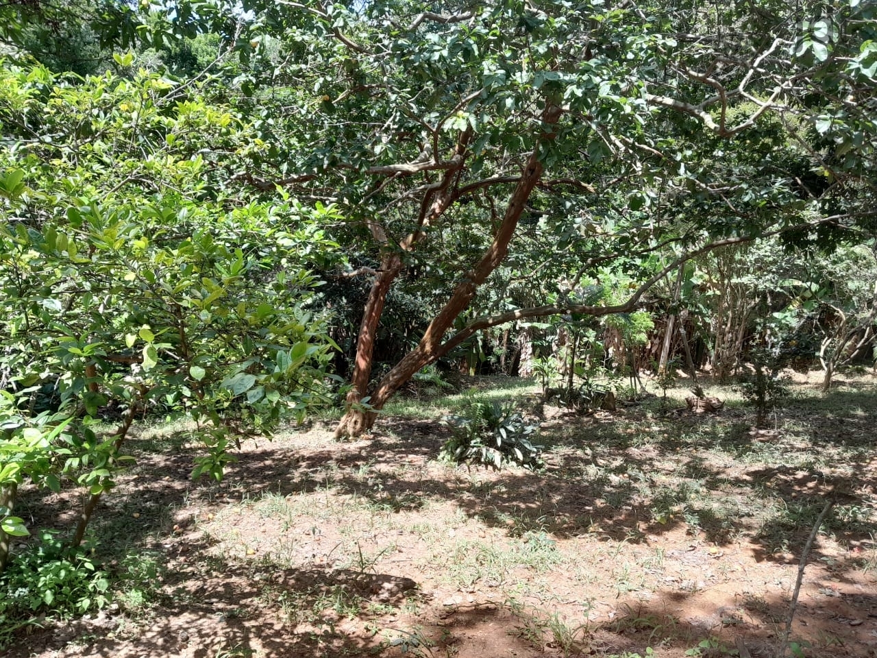 Chácara em Cristal, Mairinque - Chácara a venda no bairro Cristal em Mairinque - SP - Foto 39