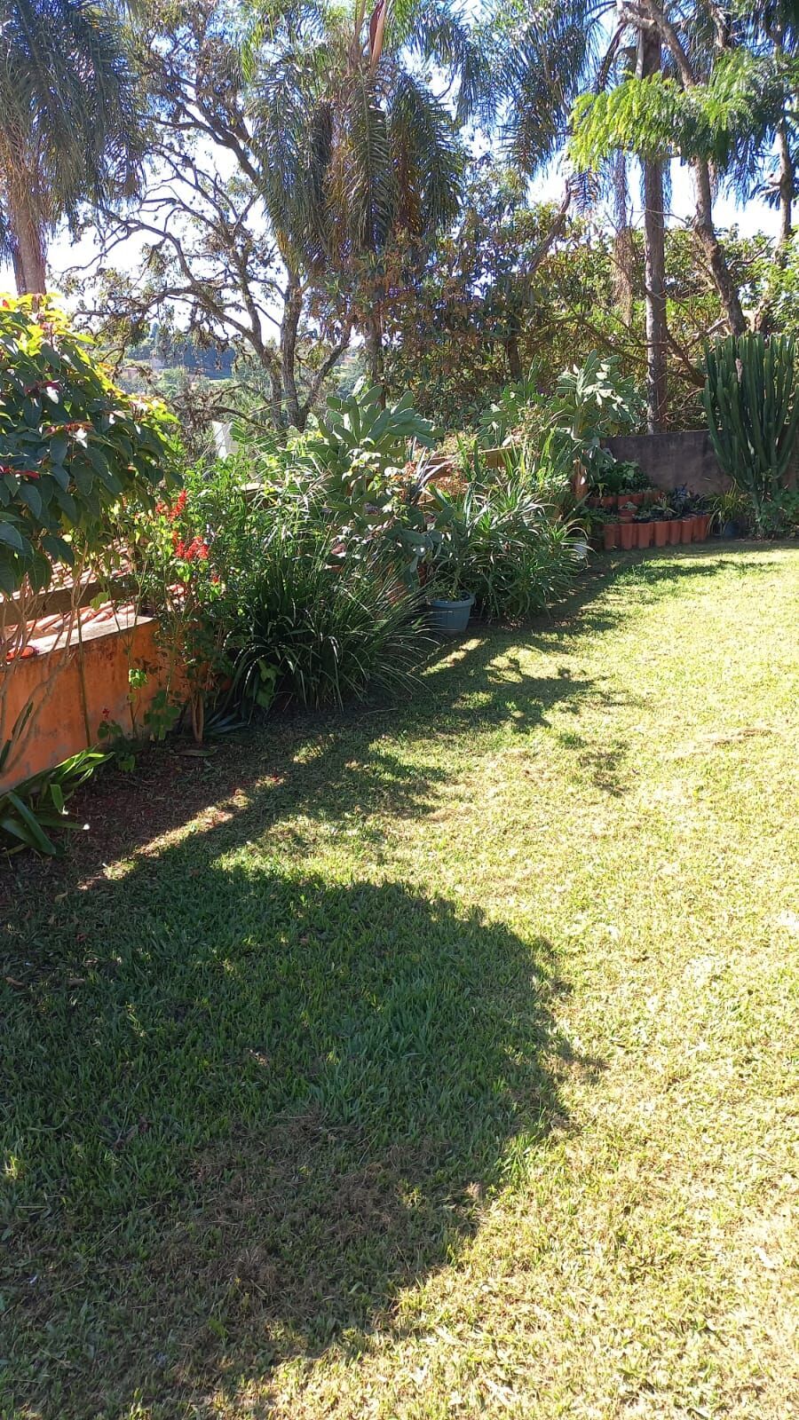 Chácara em Pitangueiras, Mairinque - Chácara com 3.140 m2 de terreno - Foto 12
