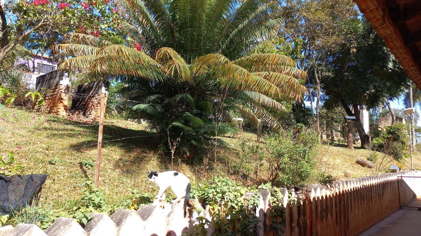 Chácara em Pitangueiras, Mairinque - Chácara com 3.140 m2 de terreno - Foto 20