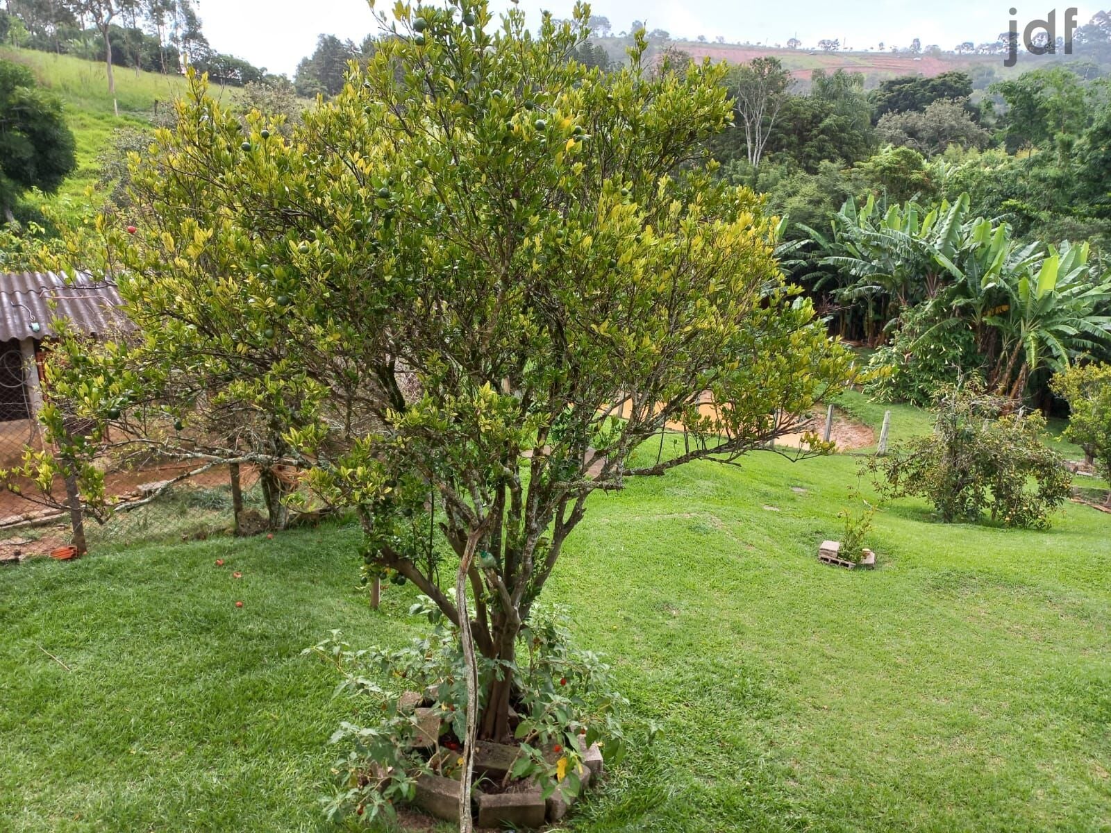 Residential / Agricultural em Vale da Esperança, Mairinque - Sítio com 20.000 m2 em Mairinque - Foto 21
