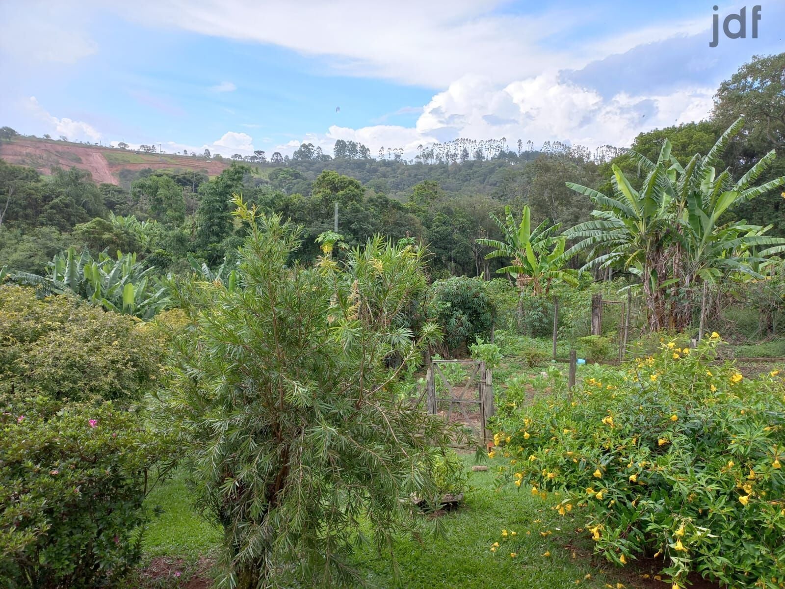 Residential / Agricultural em Vale da Esperança, Mairinque - Sítio com 20.000 m2 em Mairinque - Foto 7
