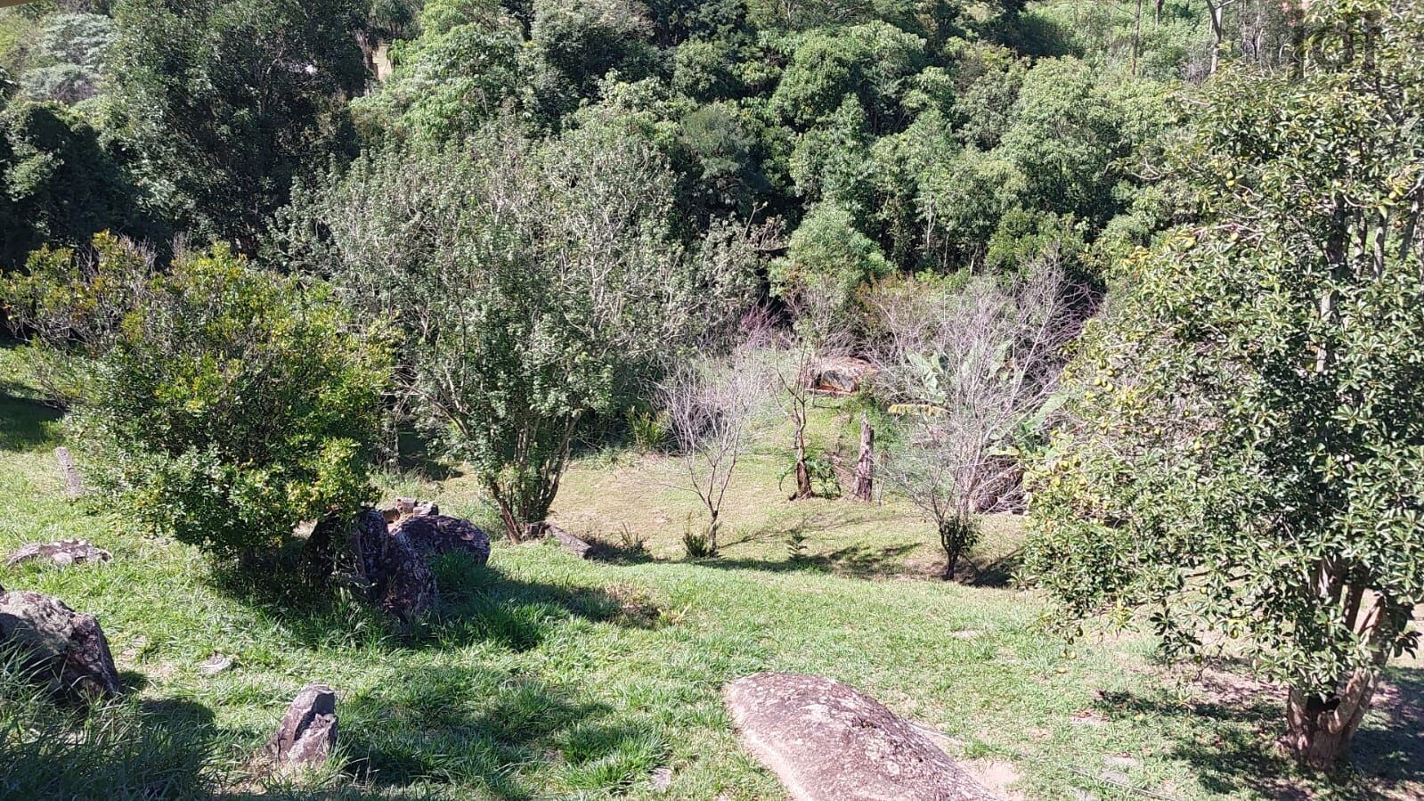 Chácara em Caete (Mailasqui), São Roque - Chácara em Caete (Mailasqui), São Roque/SP - Foto 4