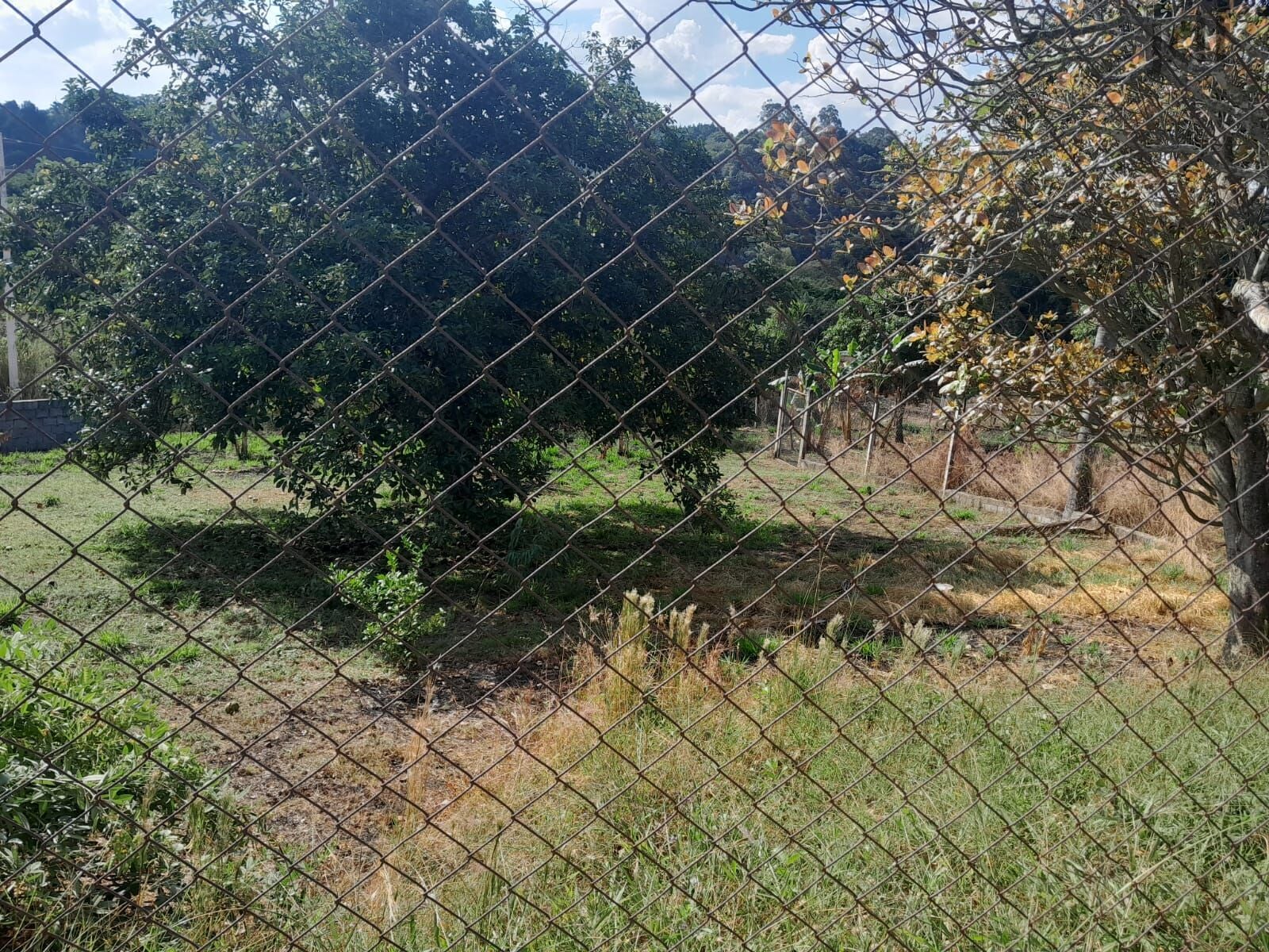 Residential / Agricultural em Dona Catarina, Mairinque - Sítio em Dona Catarina, Mairinque/SP 13.650 m2 a 400 mts do asfalto - Foto 9