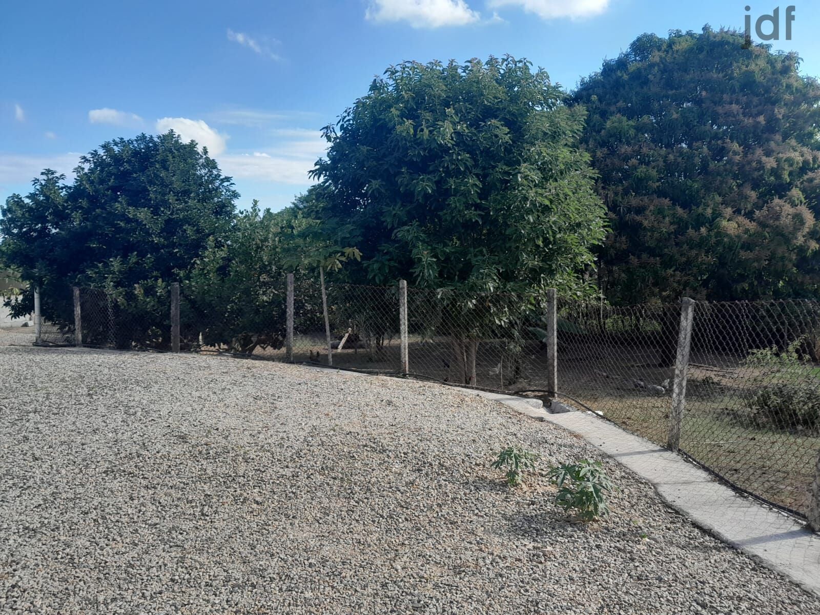 Residential / Agricultural em Dona Catarina, Mairinque - Sítio em Dona Catarina, Mairinque/SP 13.650 m2 a 400 mts do asfalto - Foto 19