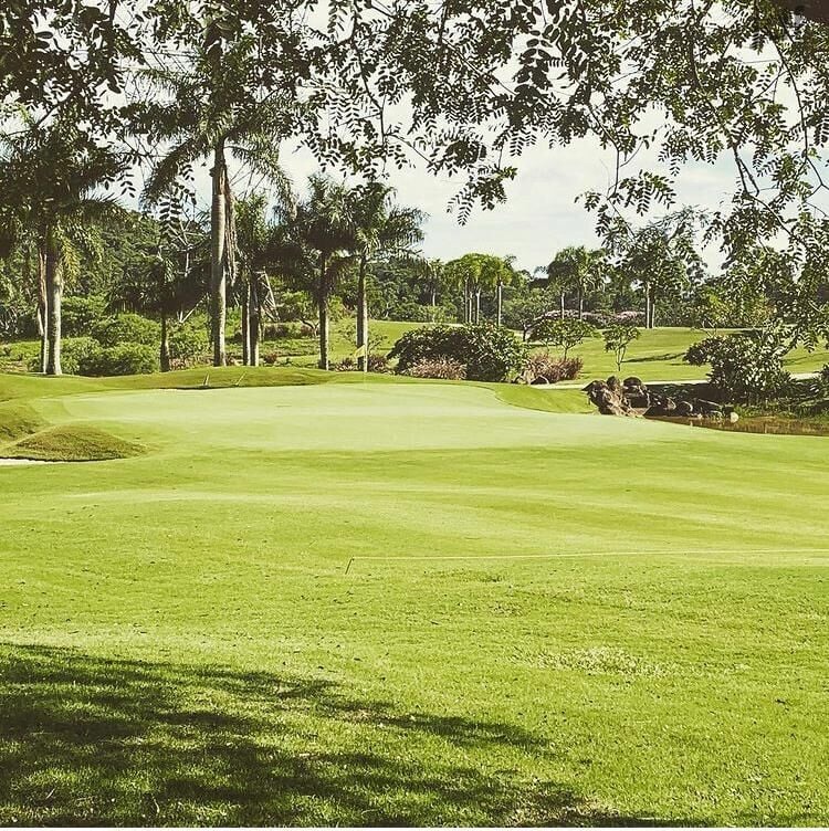 Terreno em Vila Darcy Penteado (Mailasqui), São Roque - CONDOMÍNIO VILLA DA MATA - SÃO ROQUE, SP. ALTO PADRÃO - Foto 5