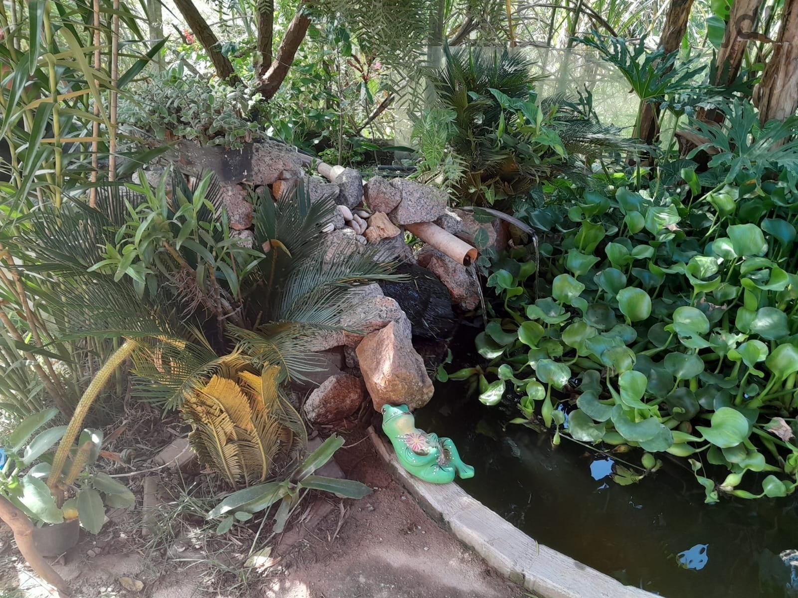 Chácara em Moreiras, Mairinque - Chácara em Moreiras, Mairinque/SP - Foto 6